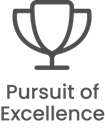 Pursuit of Excellence Value Icon